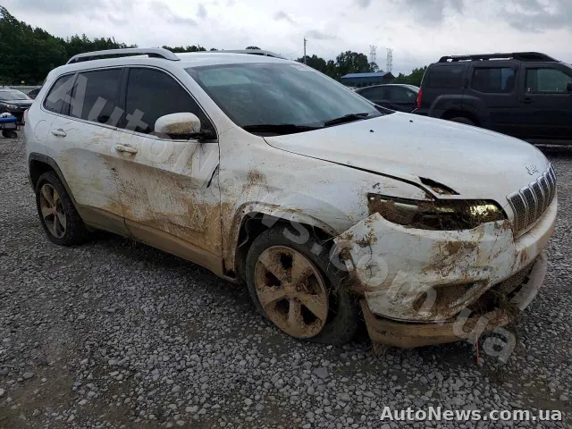 2019 Jeep Grand Cher, VIN 1C4PJLDB6KD487807, госномер АС6258ІА — фото 4 (copart)