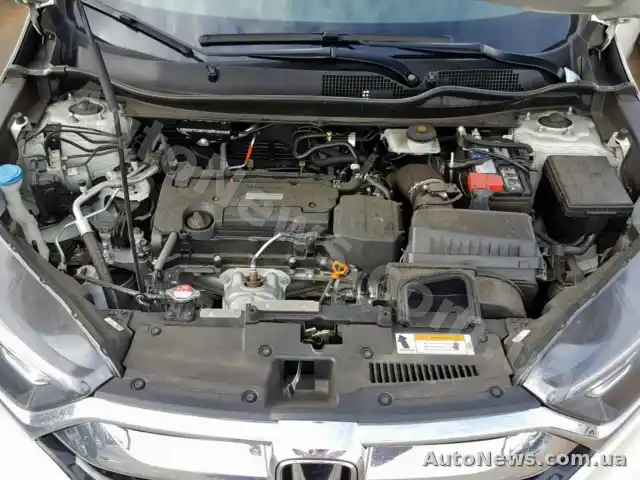 2017 Honda CR-V LX, VIN 2HKRW5H35HH402404, держномер АЕ1005РВ — фото 7 (copart)